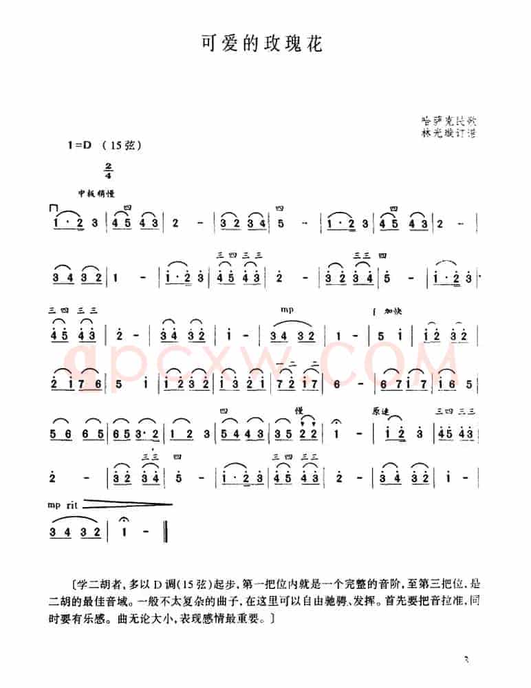 可爱的玫瑰花