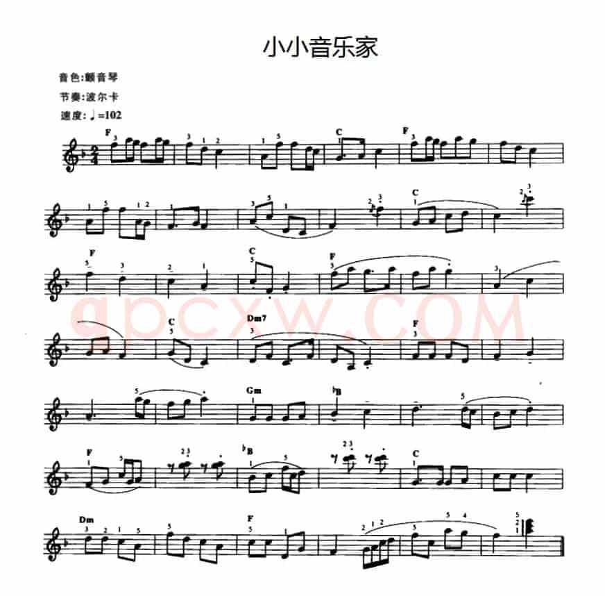 小小音乐家