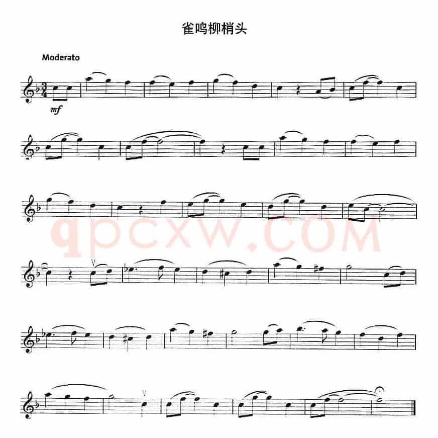 雀鸣柳梢头