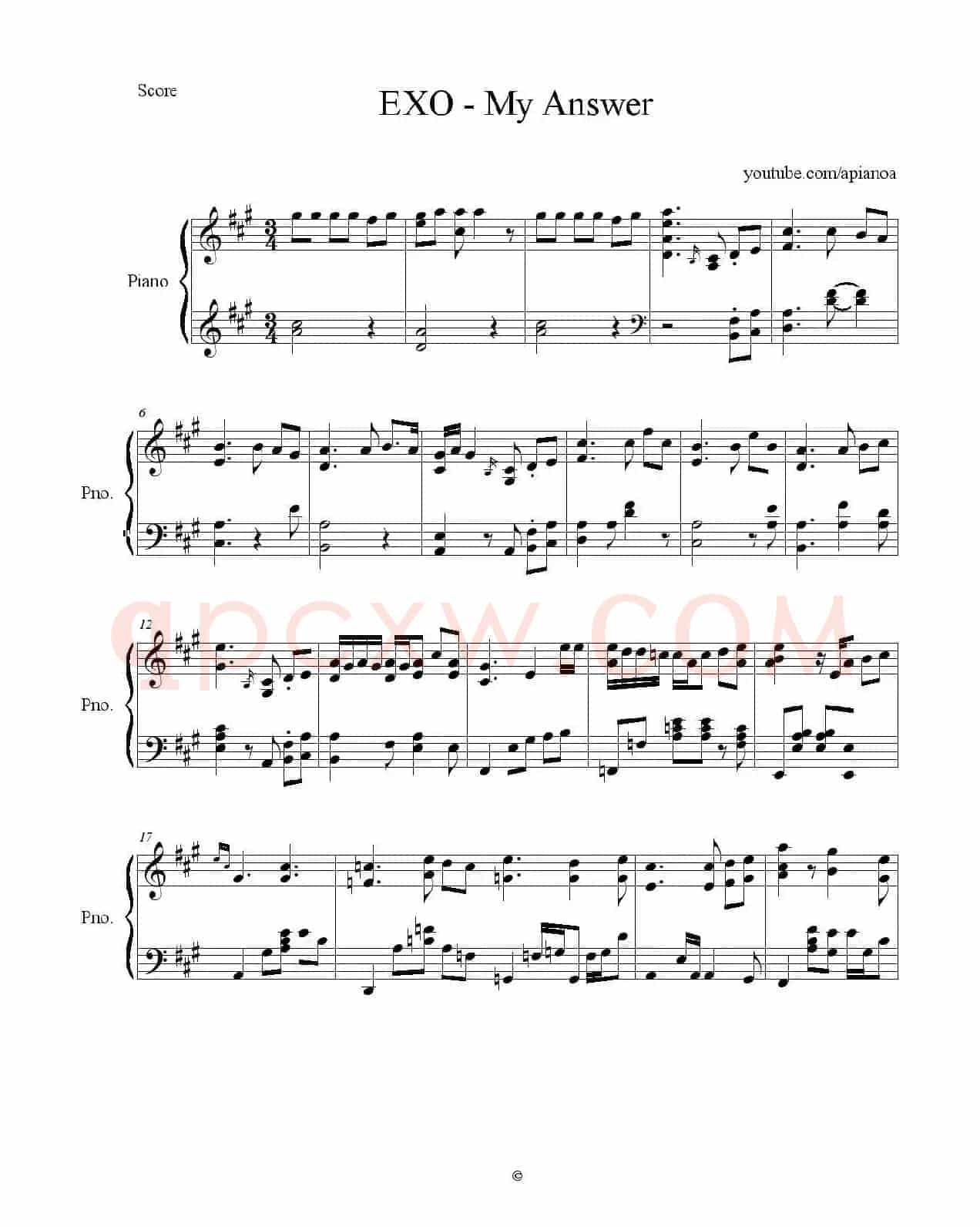 MY ANSWER（我的答案）