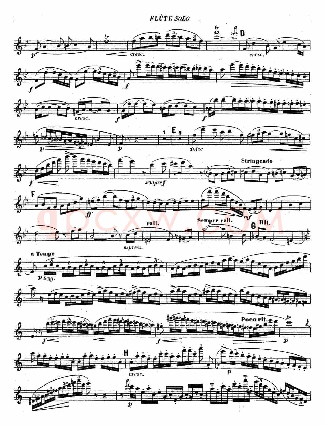 Concertino Op107（长笛协奏曲长笛独奏）