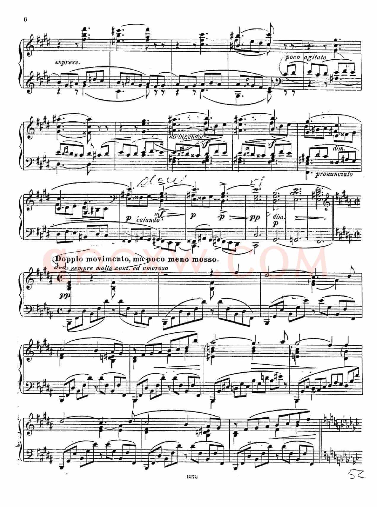 Nocturne Fantasie Op.20（幻想夜曲）