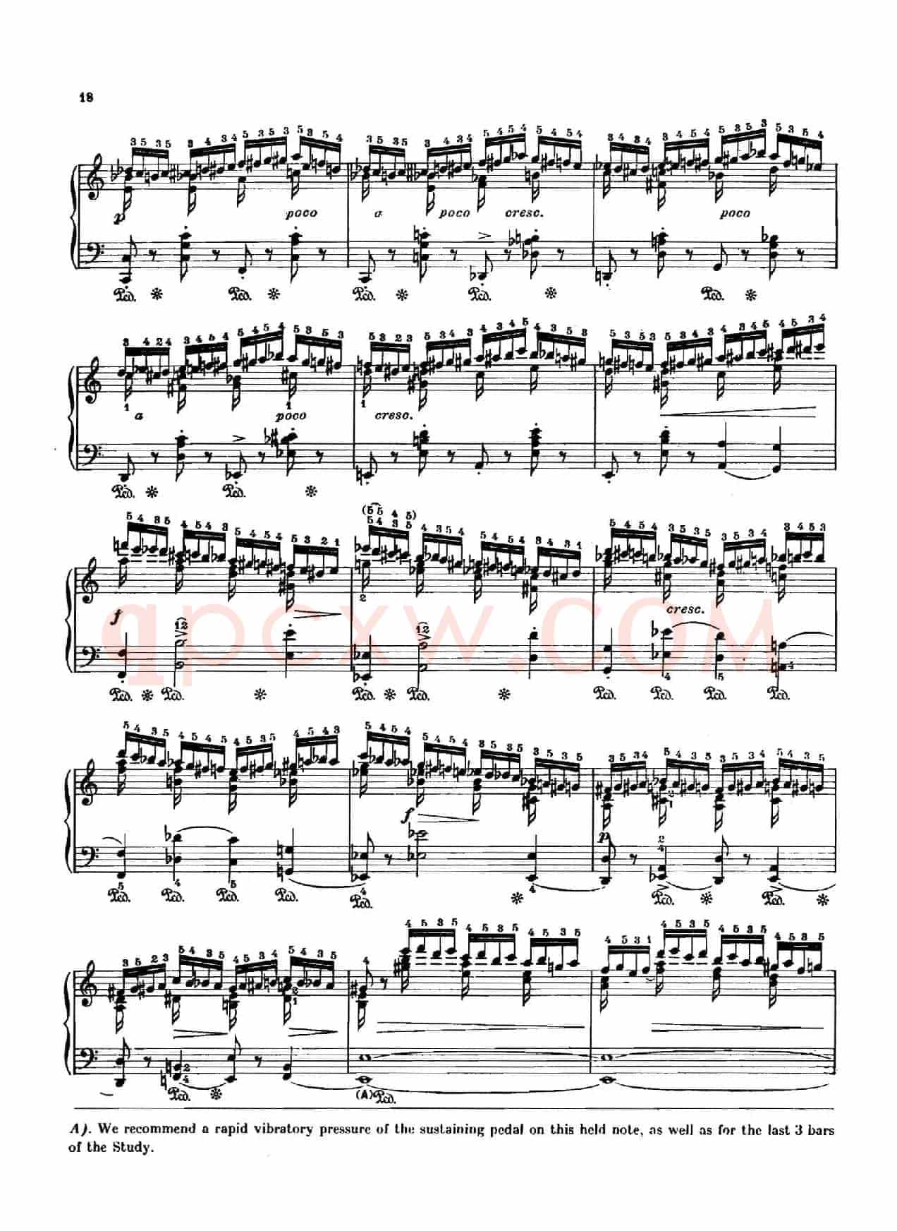 12 Etudes Op.10 柯尔托教学版（12首练习曲·2）