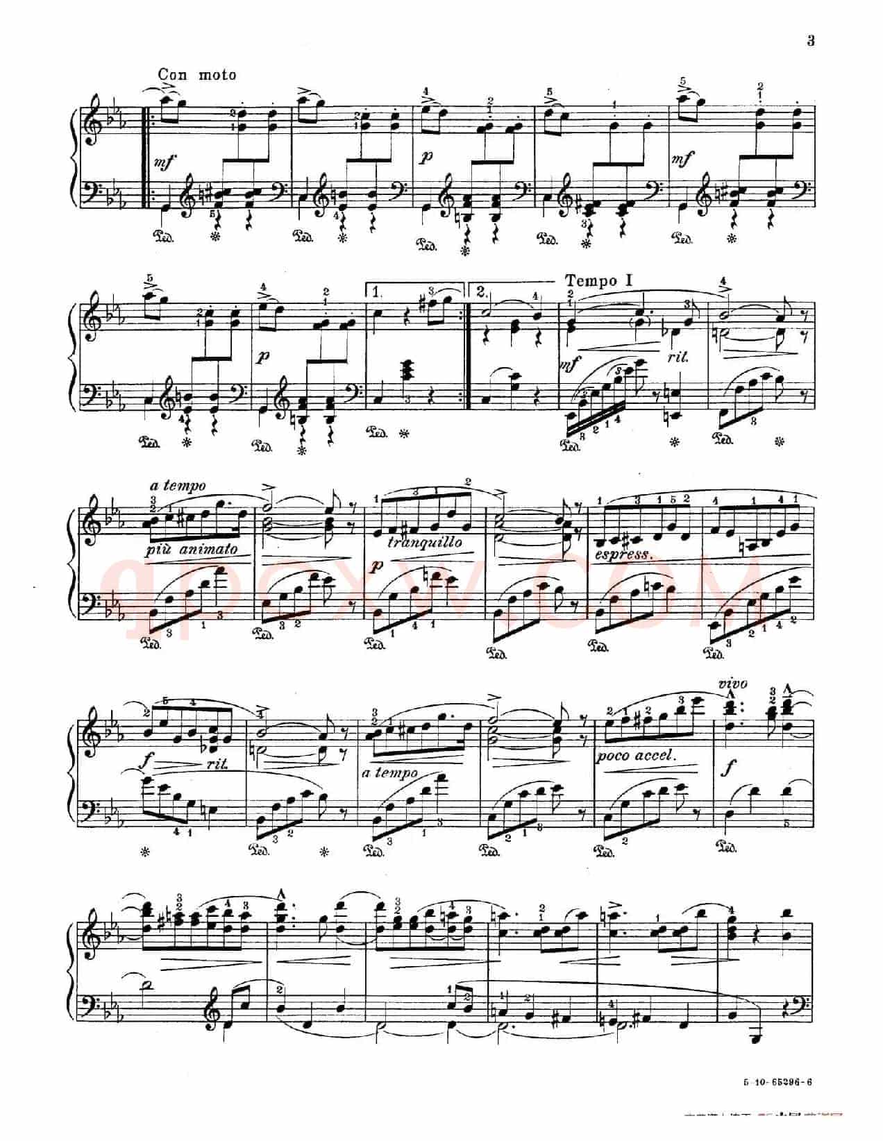 Valse Caprice in E-flat Major Op.53（降E大调随想圆舞曲）