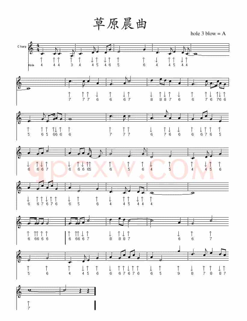 草原晨曲（布鲁斯）