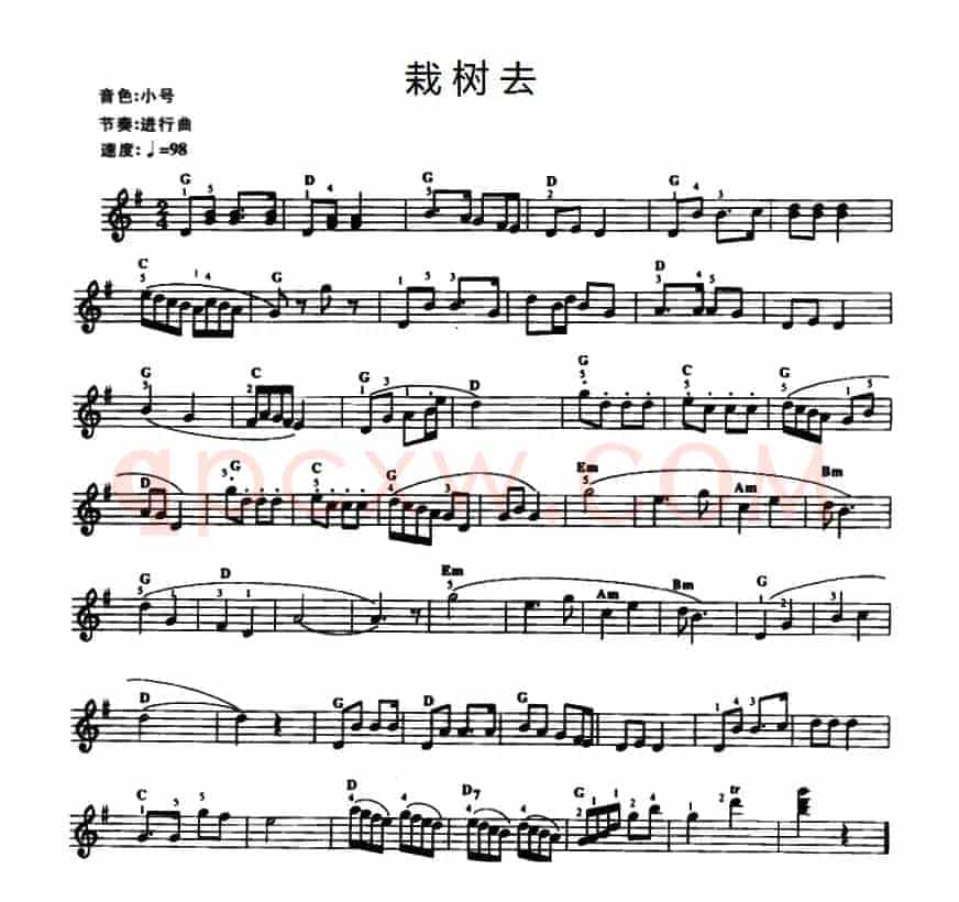 栽树去