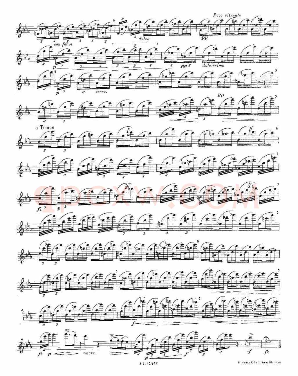12首大技巧练习曲之12