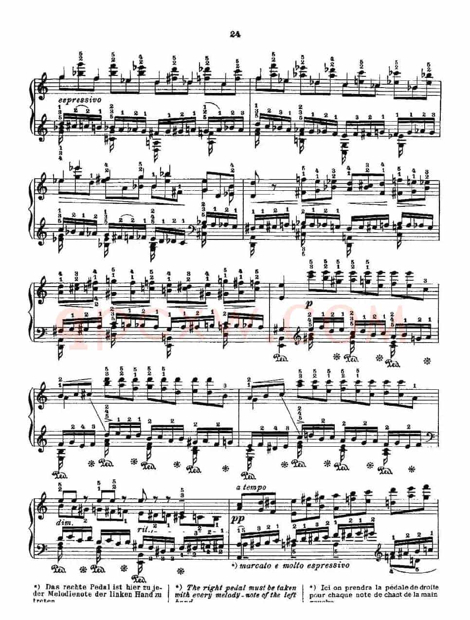 肖邦《练习曲》Fr.Chopin Op.10 No2-2