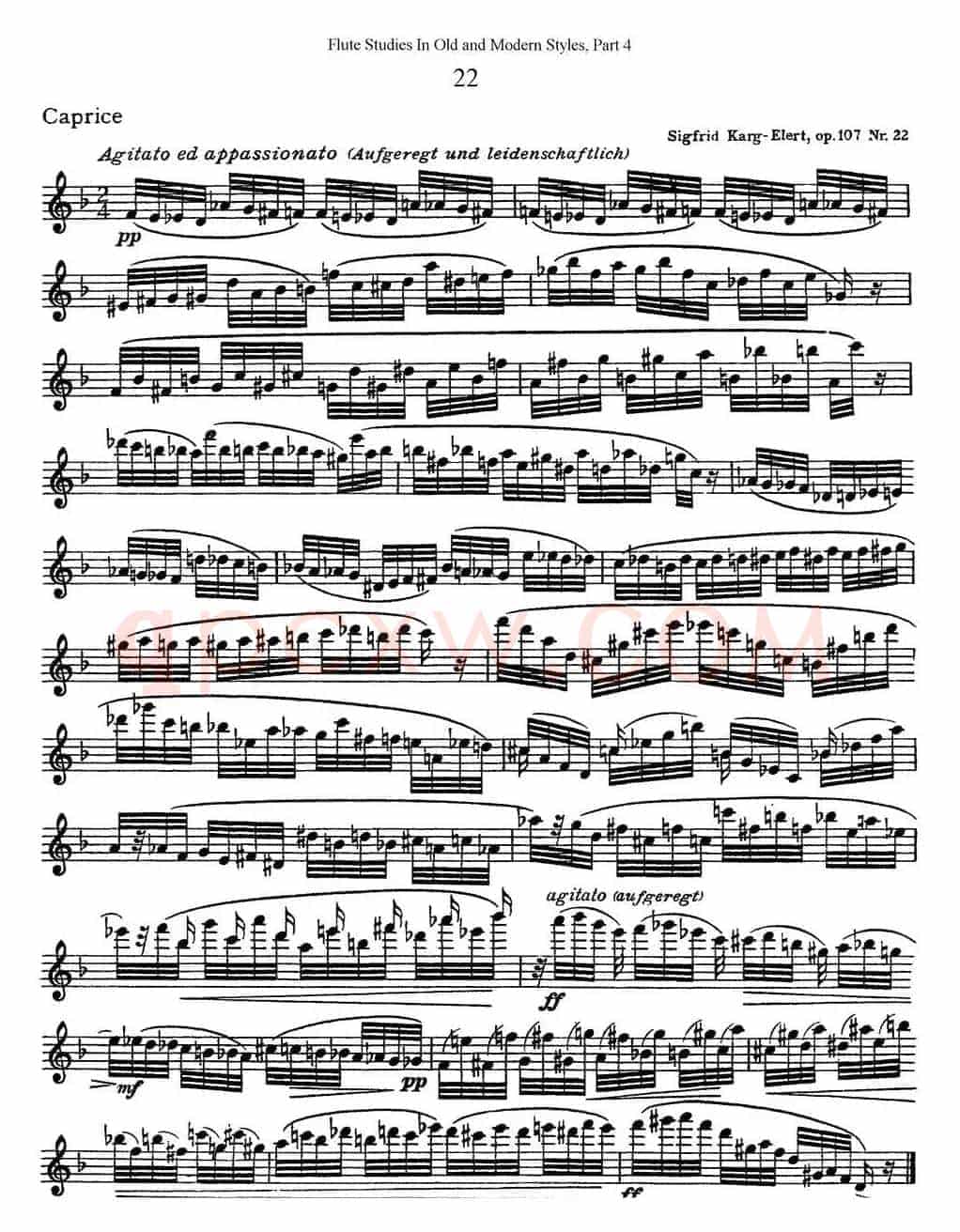 斯勒新老风格长笛练习重奏曲（第四部分）（NO.22）