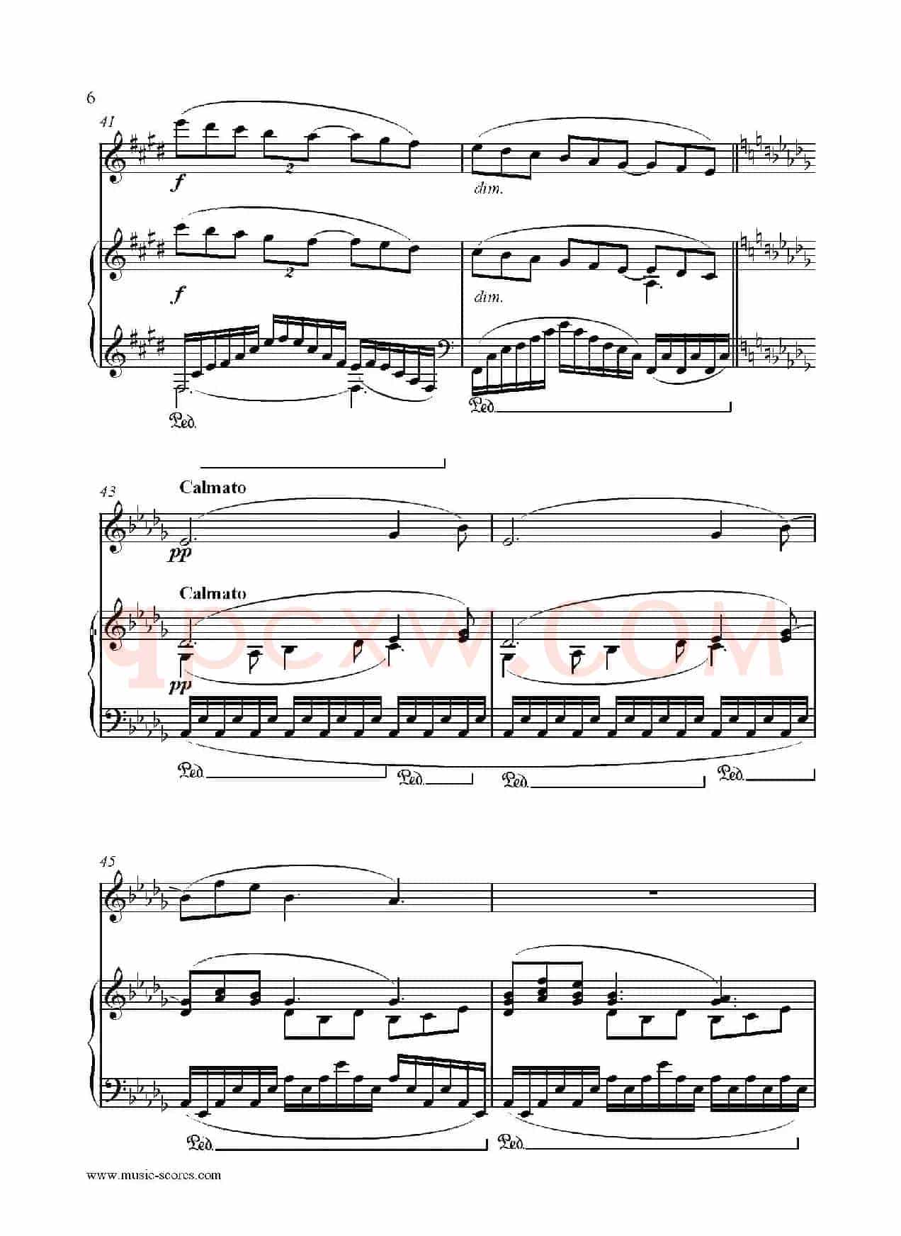 Clair de lune（长笛+钢琴伴奏）