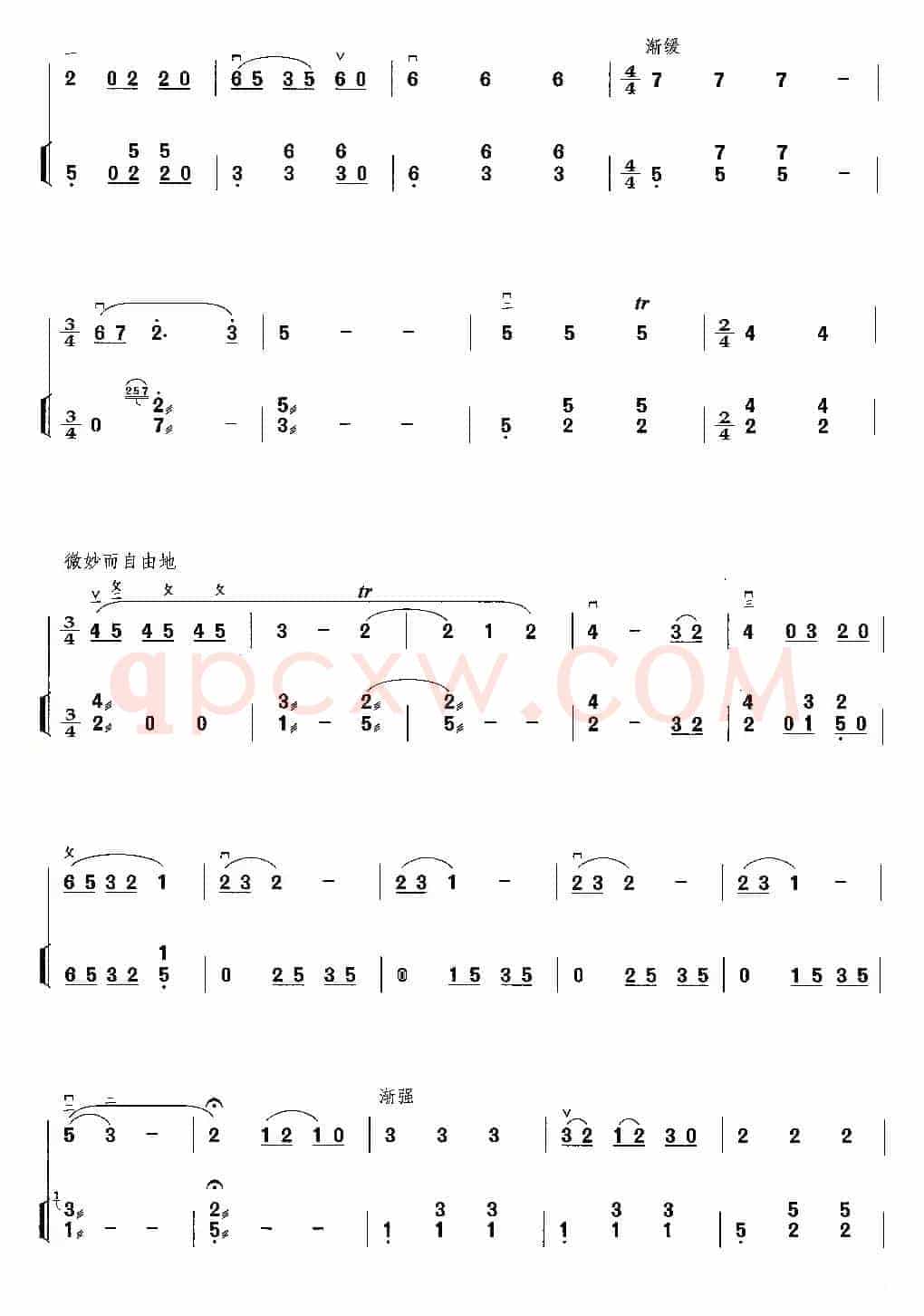 雨后春光（二胡独奏+扬琴伴奏）