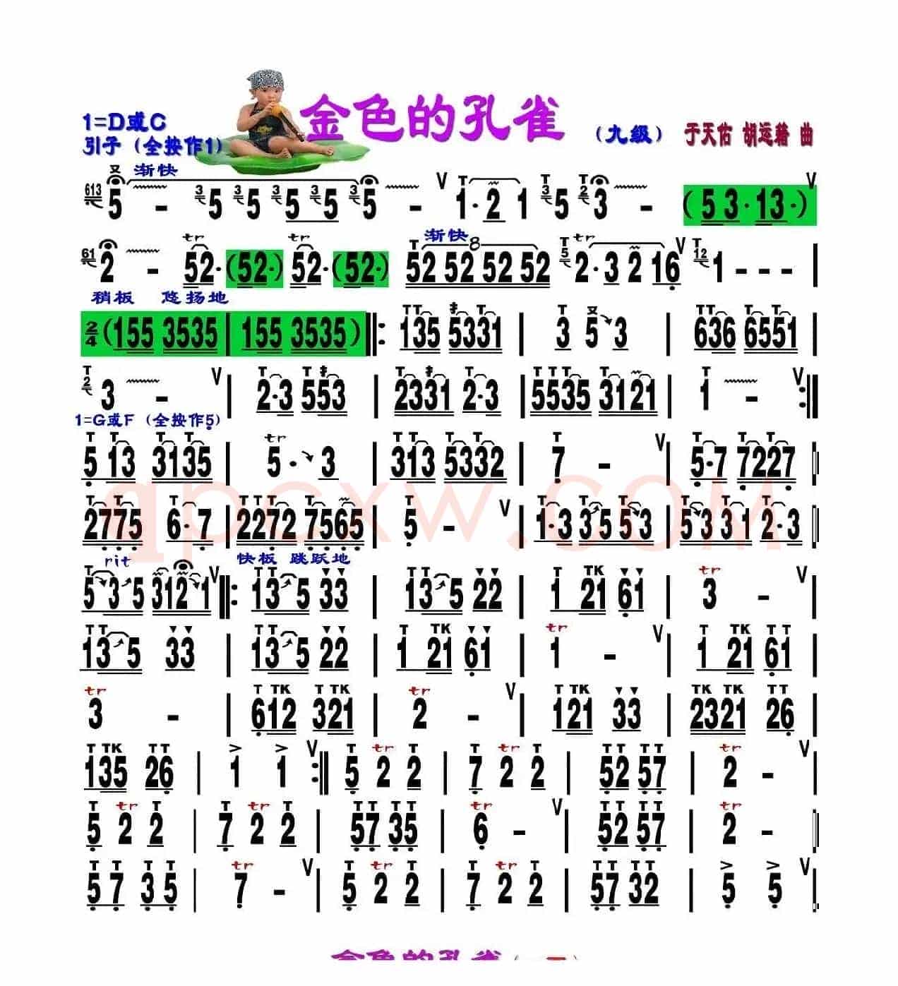 金色的孔雀 （刘慧淑制谱版）