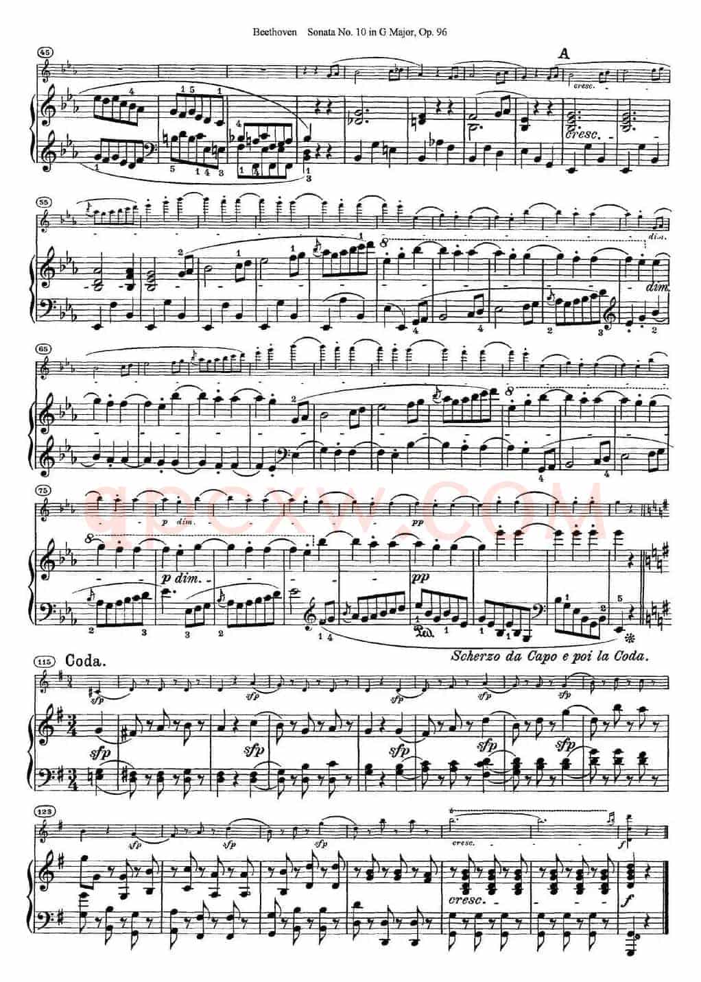 Violin Sonata No.10 in G Major Op.96（小提琴+钢琴伴奏）
