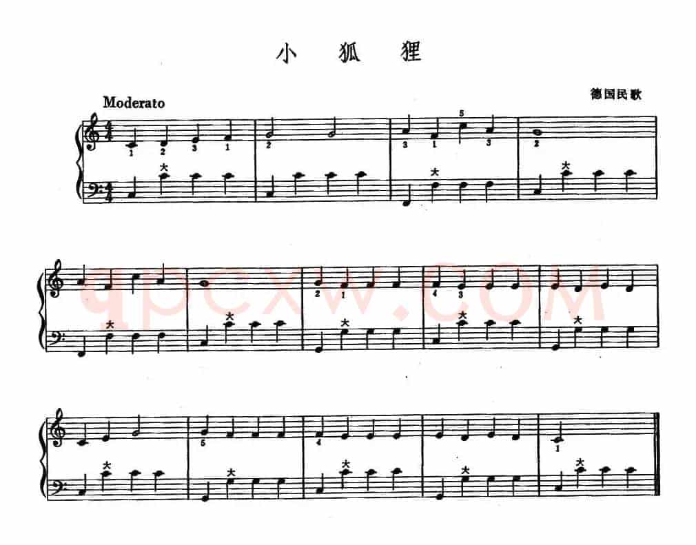 小狐狸