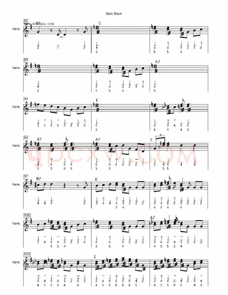 back track（布鲁斯）
