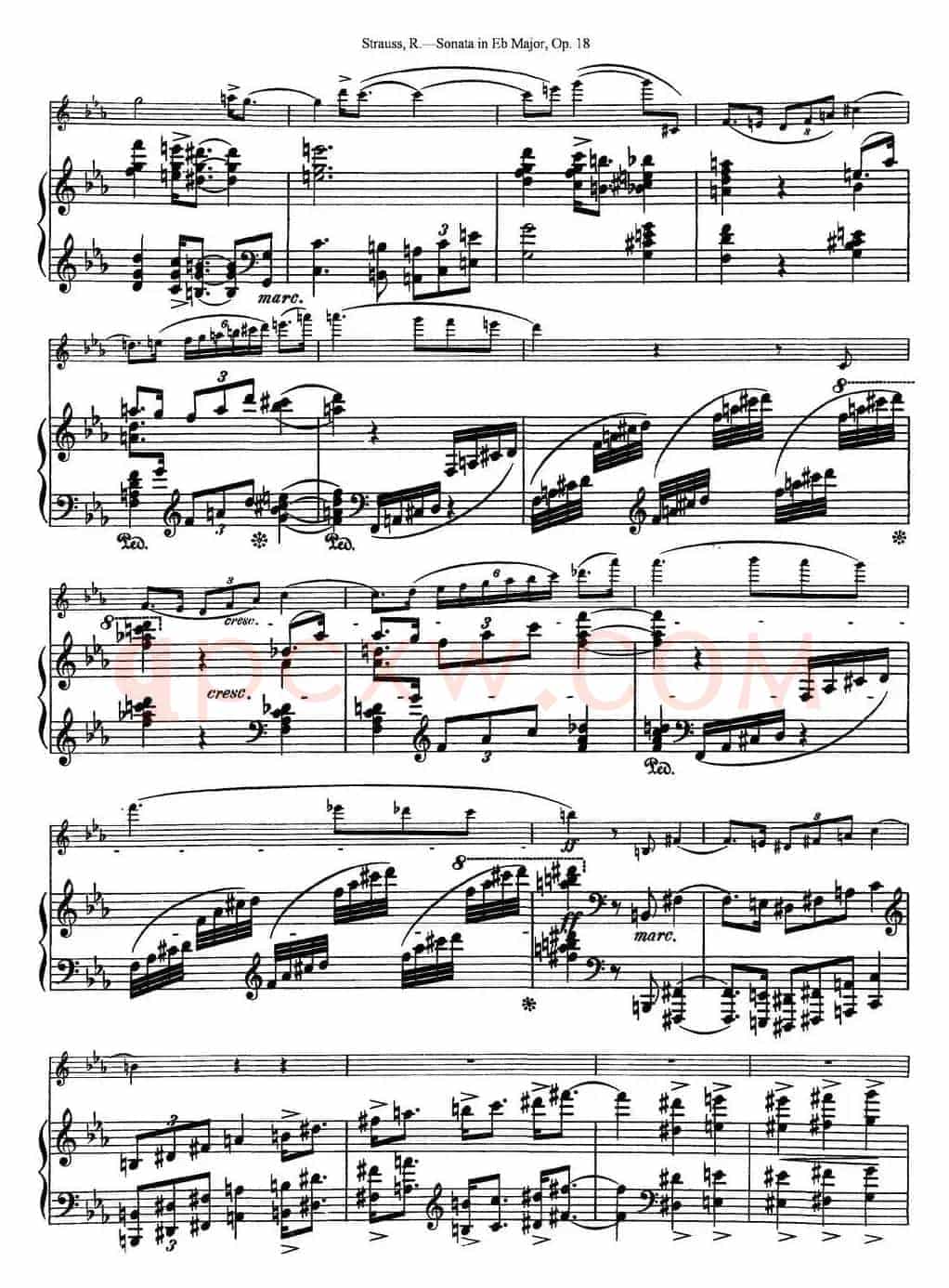 Violin Sonata in Eb Major Op.18（小提琴+钢琴伴奏）