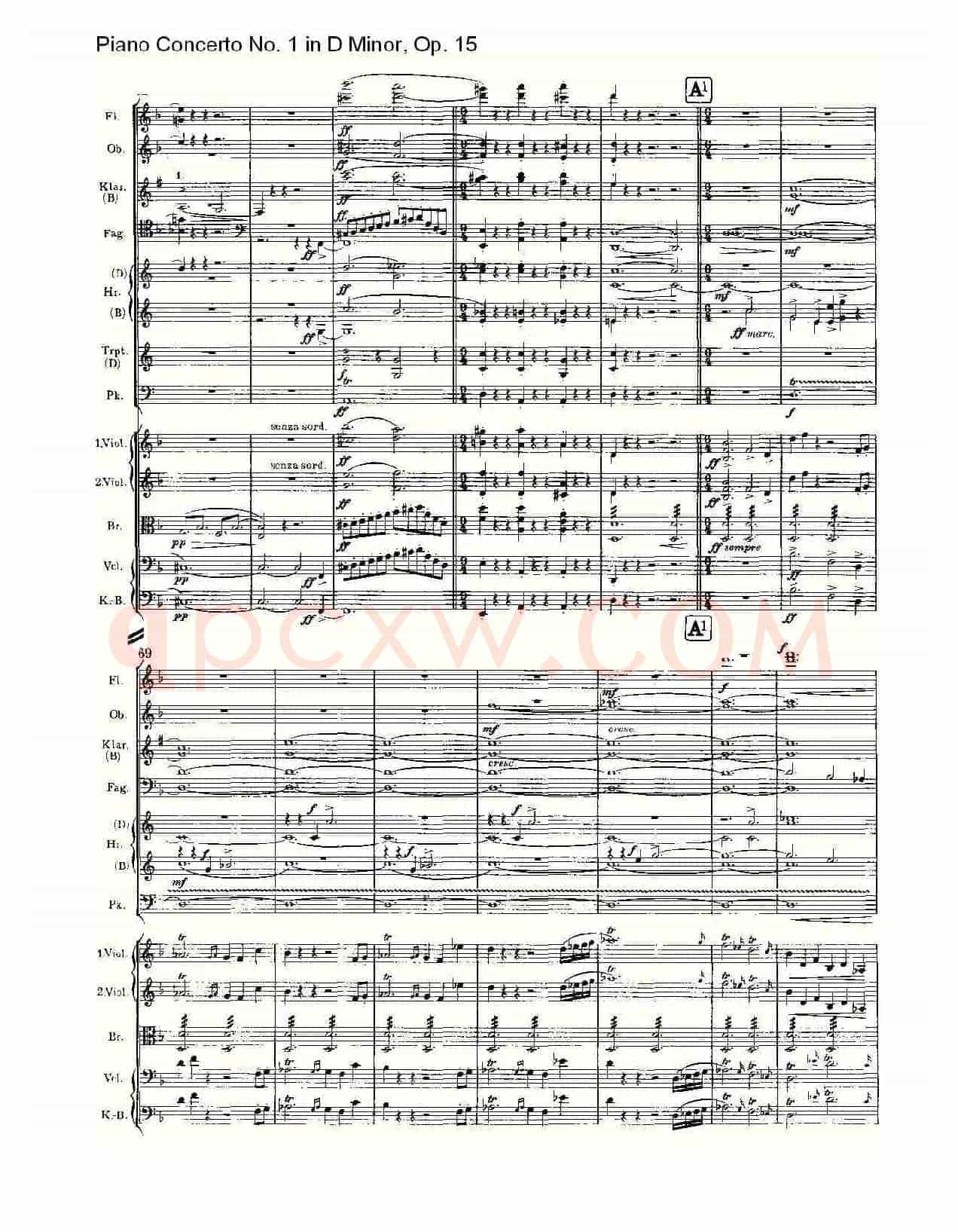 D小调钢琴第一协奏曲, Op.15第一乐章(一)