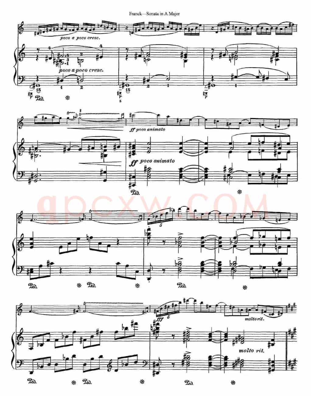 Franck Sonata in A Major（小提琴+钢琴伴奏）