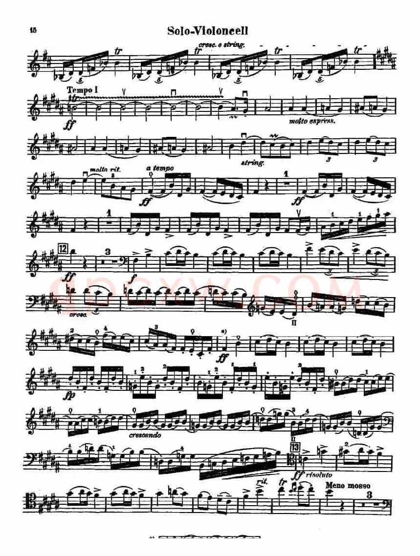 CELLO CONCERTO in B minor（大提琴）