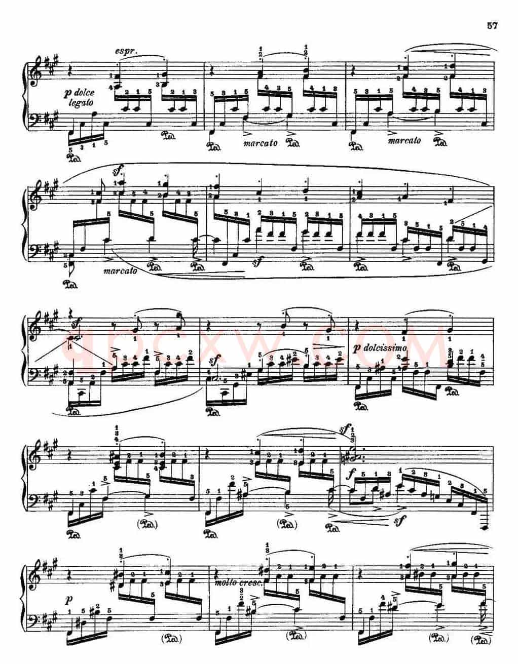 53首改编练习曲（No.18A）