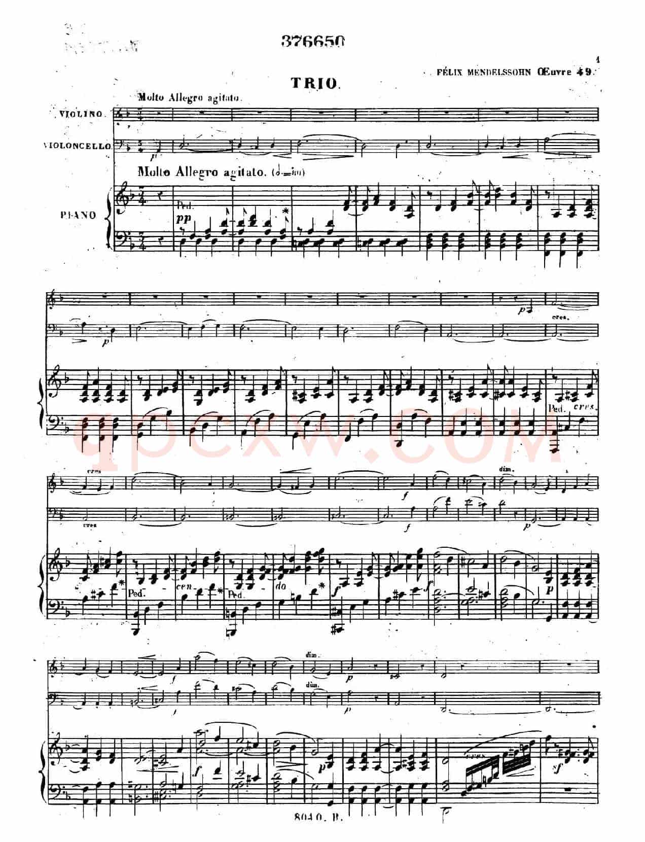 Piano Trio No.1 in d Minor Op.49（d小调第一钢琴三重奏·第一乐章）