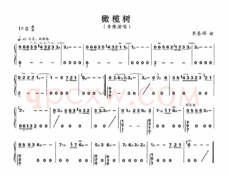 橄榄树
