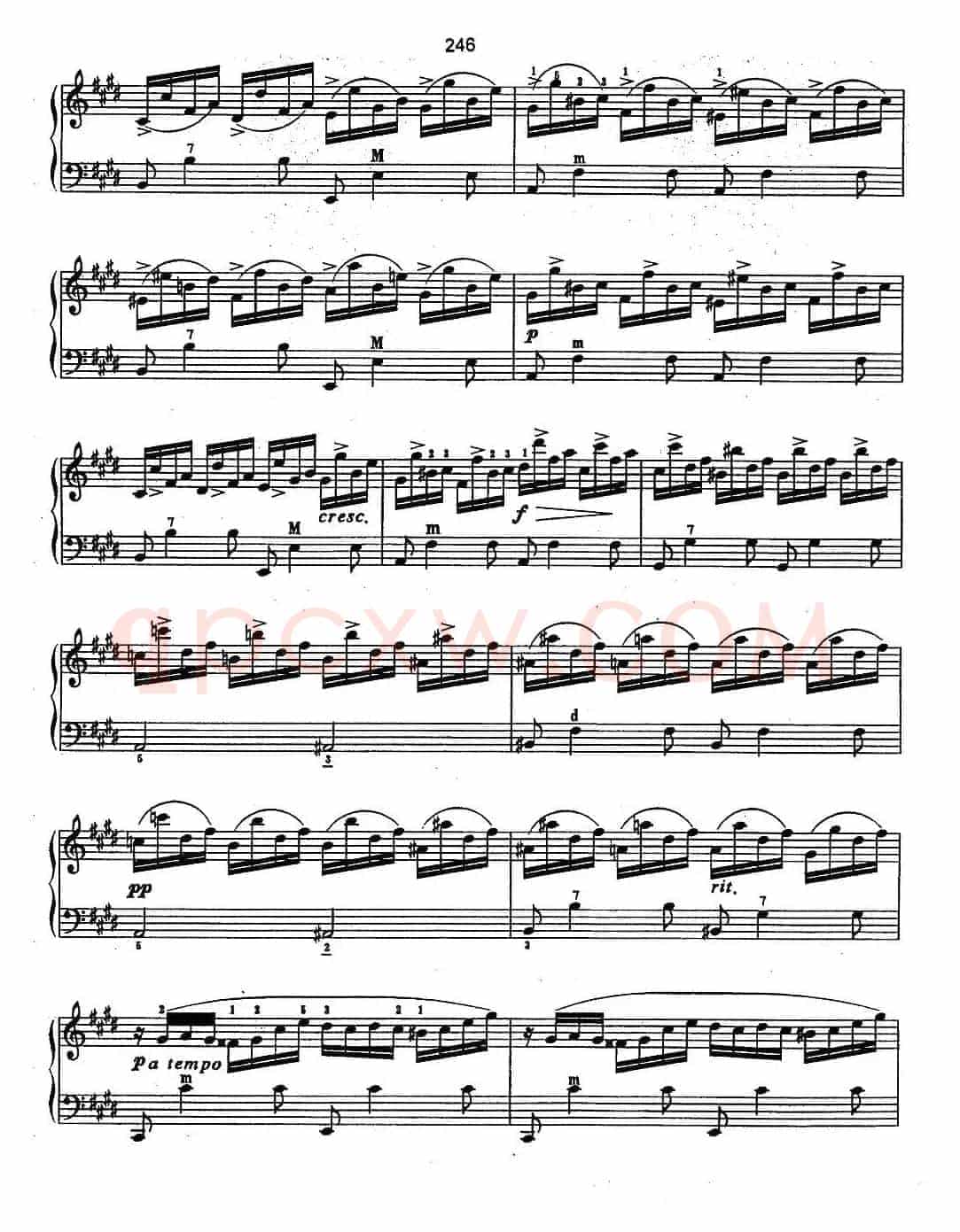 即兴幻想曲 OP.66