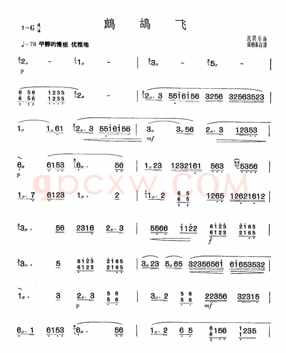 鹧鸪飞