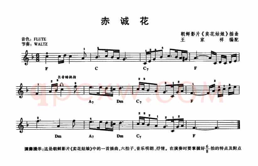 赤诚花