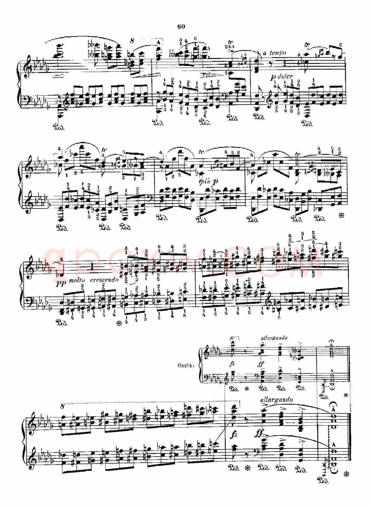 53首改编练习曲（No.37）