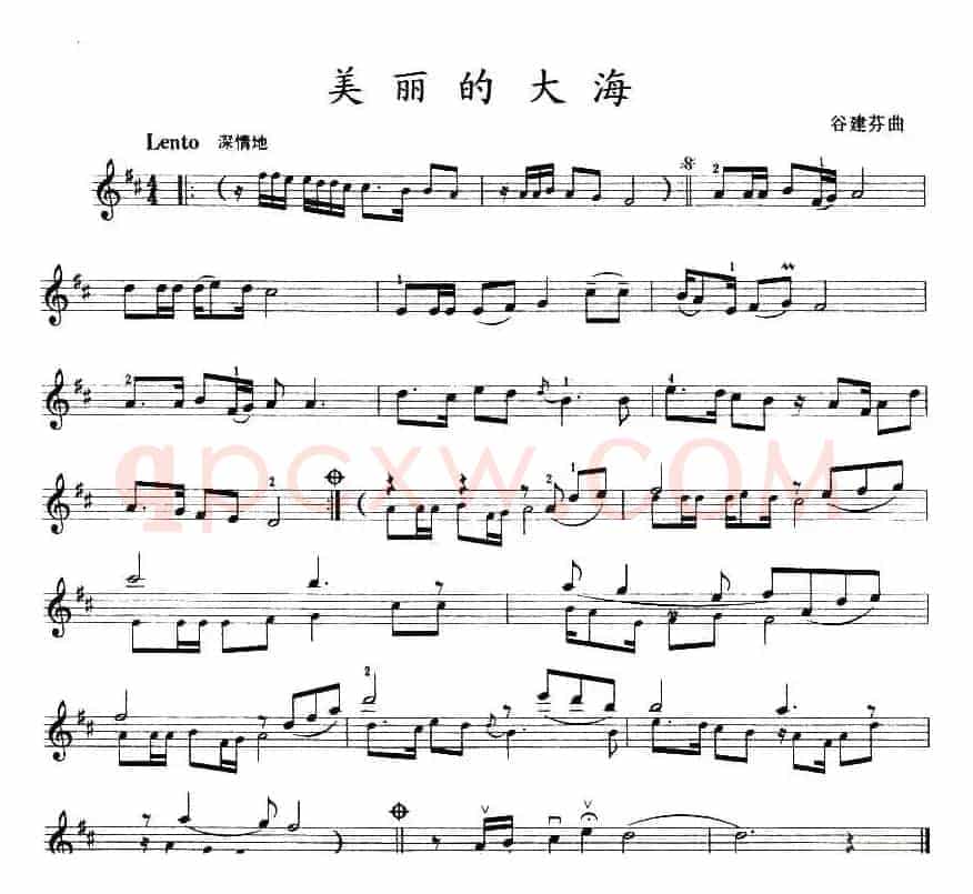 美丽的大海