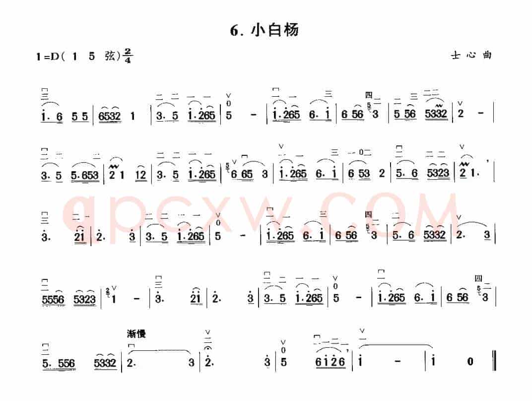 小白杨
