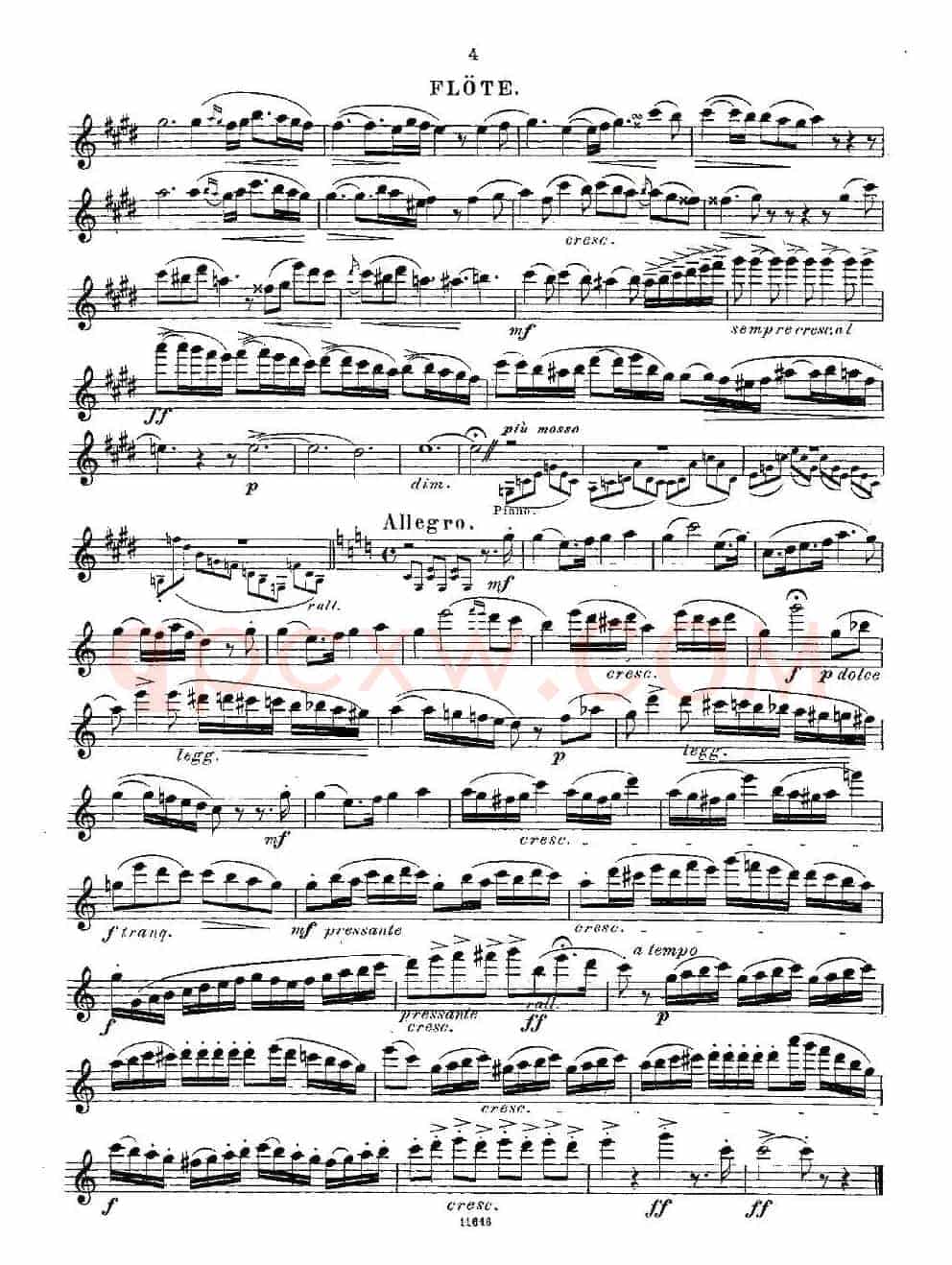 Opern-Transcriptionen.Op.45-2
