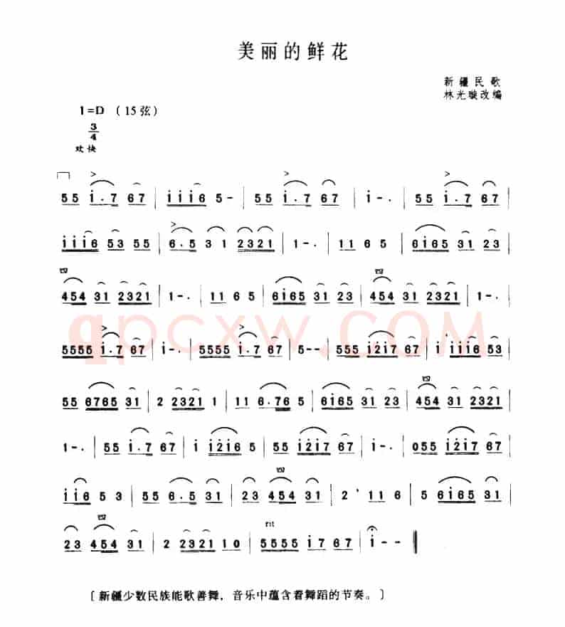 美丽的鲜花