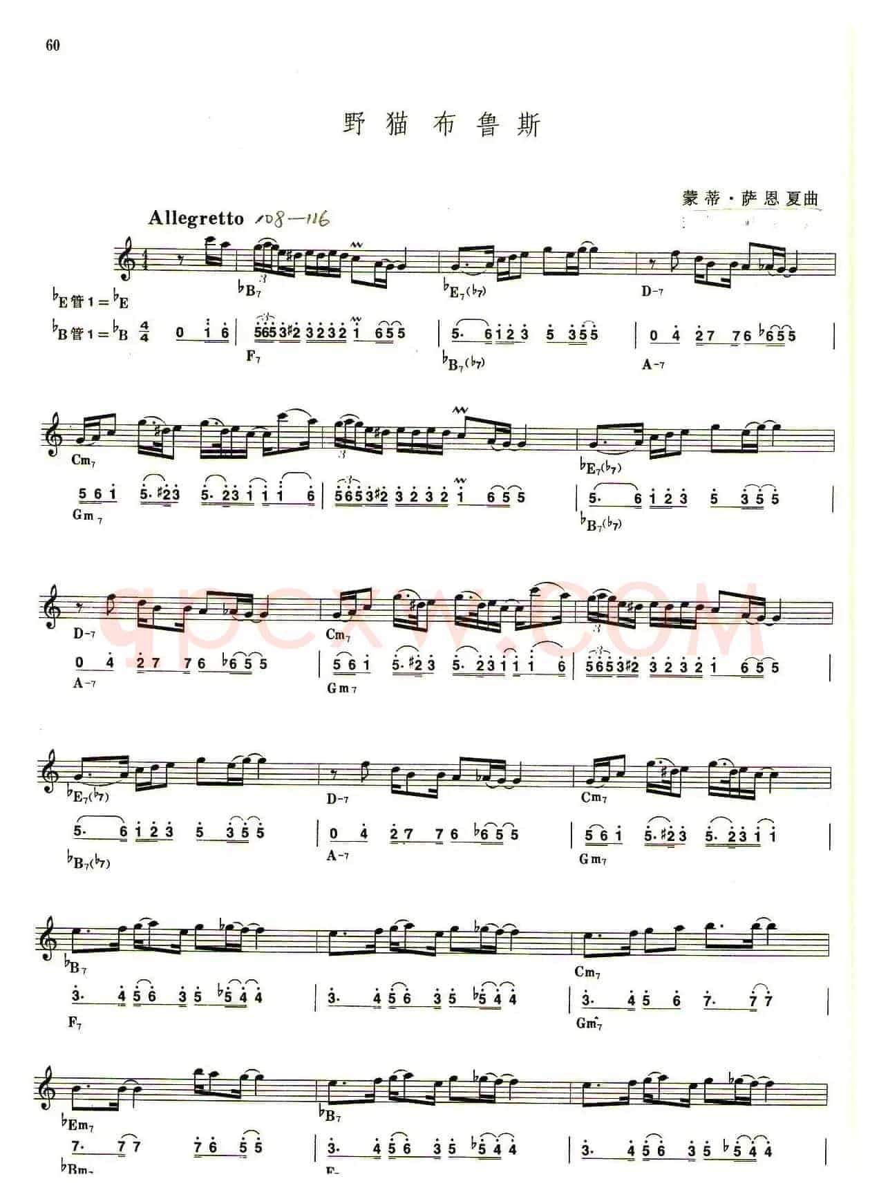 野猫布鲁斯（线简谱对照版）