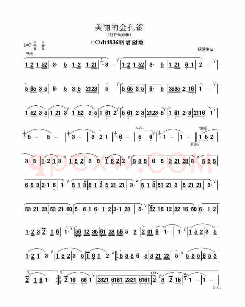 美丽的金孔雀（杨建生作曲版）