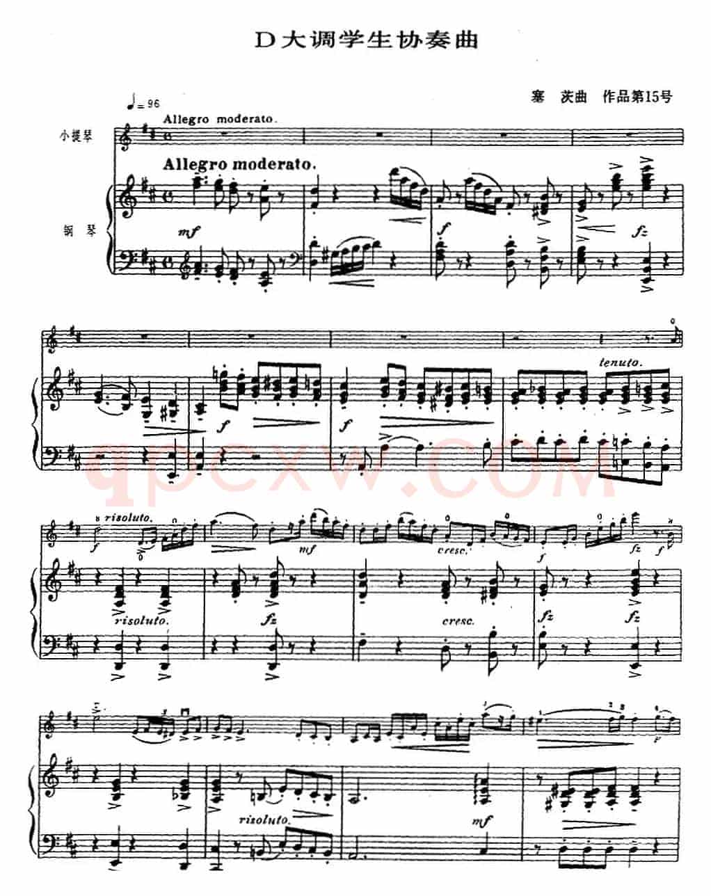 塞茨初级小提琴协奏曲Op.15（D大调学生协奏曲）