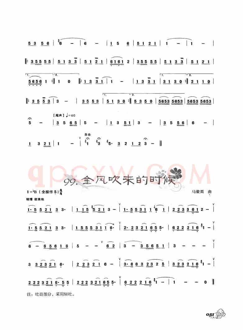 葫芦丝曲精选：金孔雀与凤尾竹  金风吹来的时候 