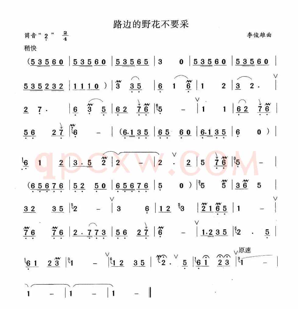 路边的野花不要采
