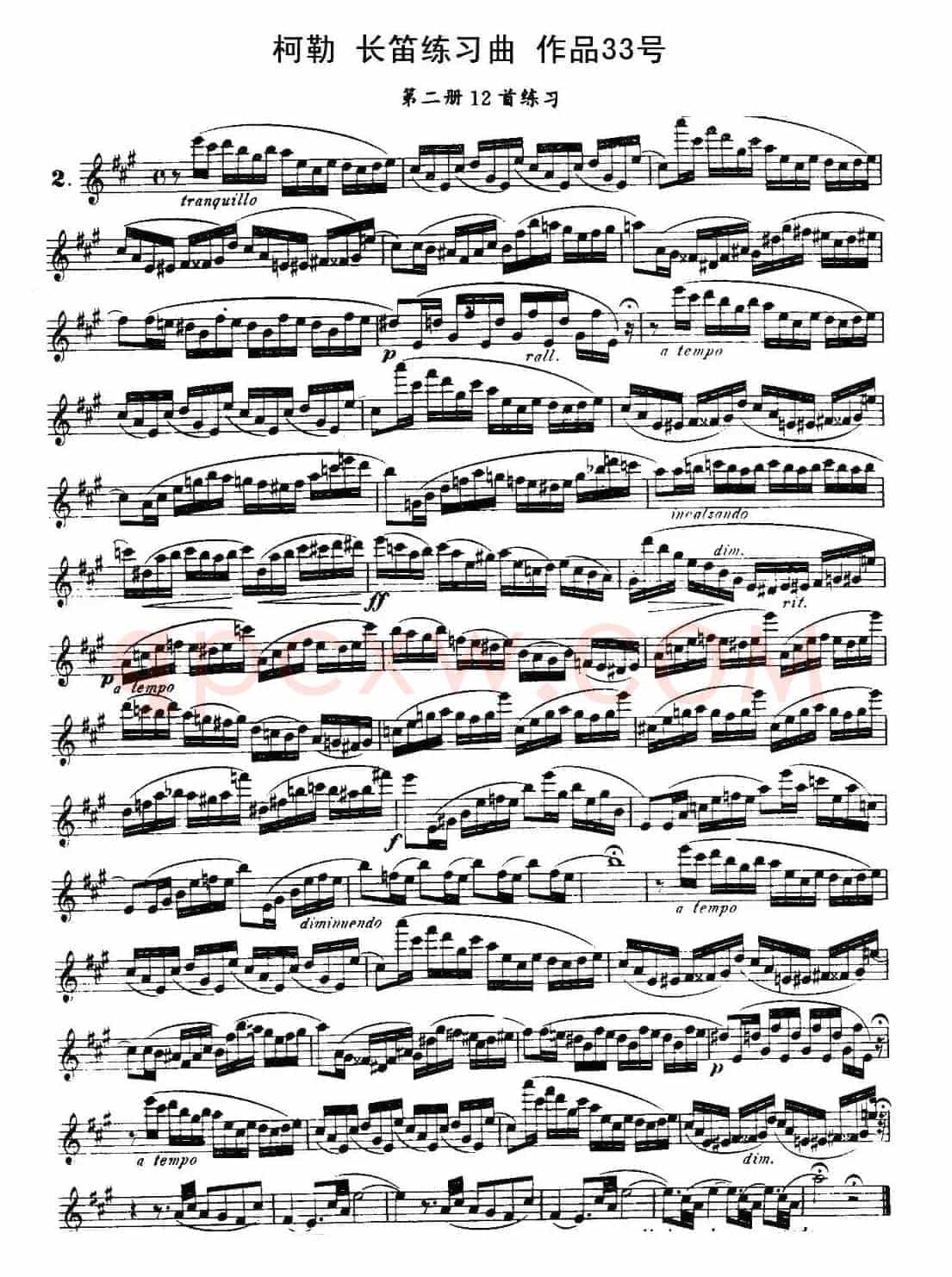 柯勒长笛练习曲作品33号（第二册）（2）