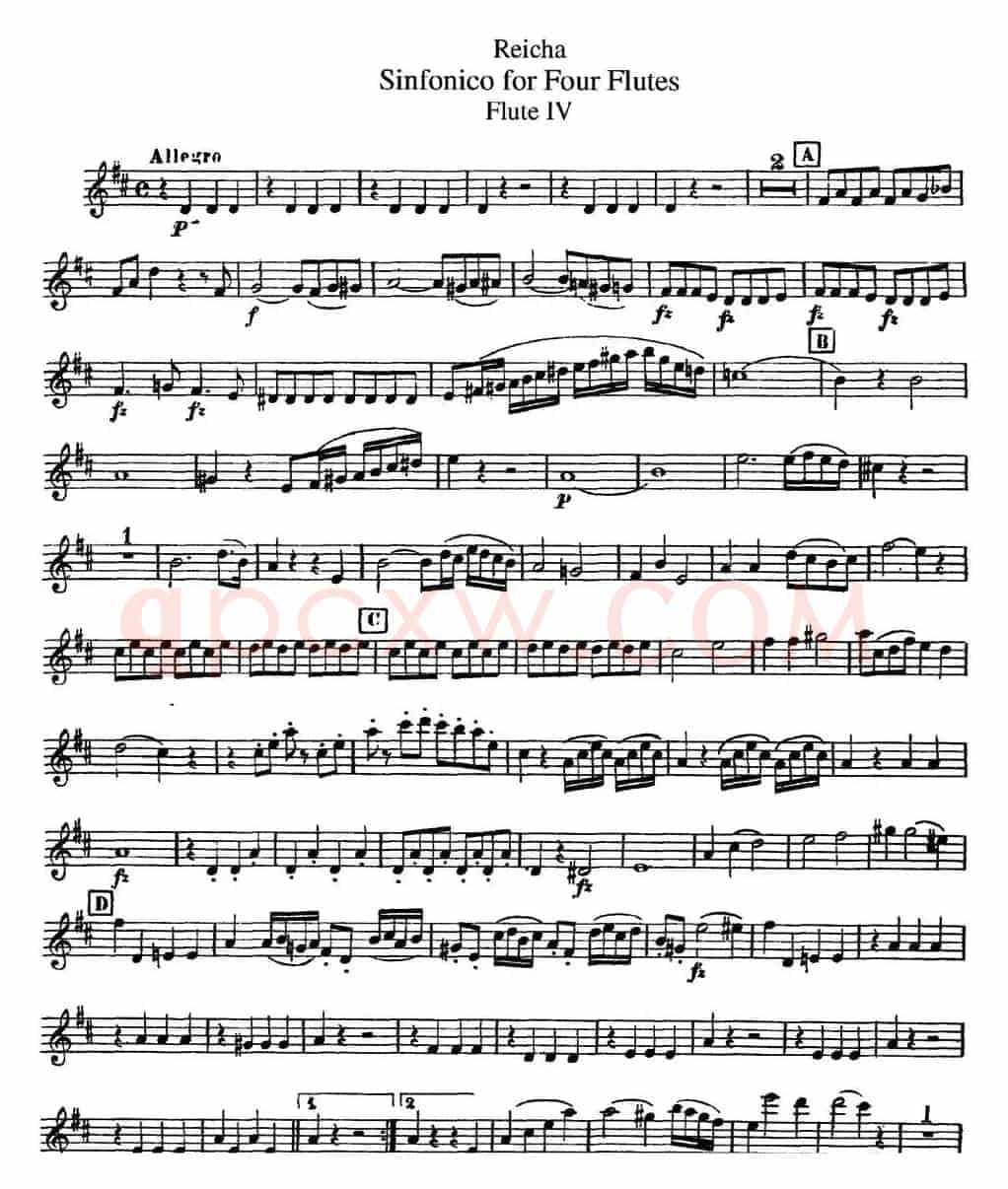 瑞查长笛四重奏（Flute 4）