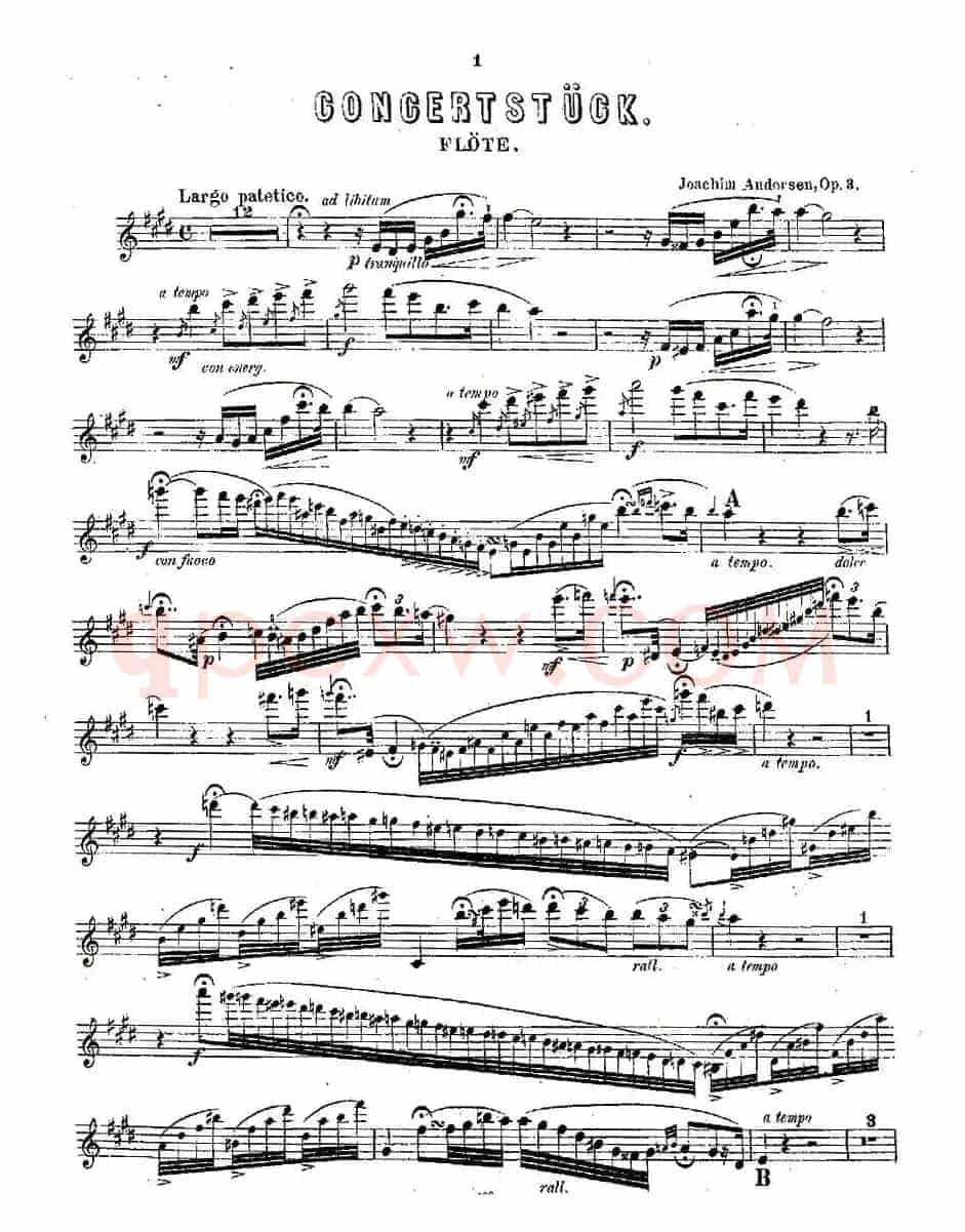 Concertstück . Op. 3. - flute part only