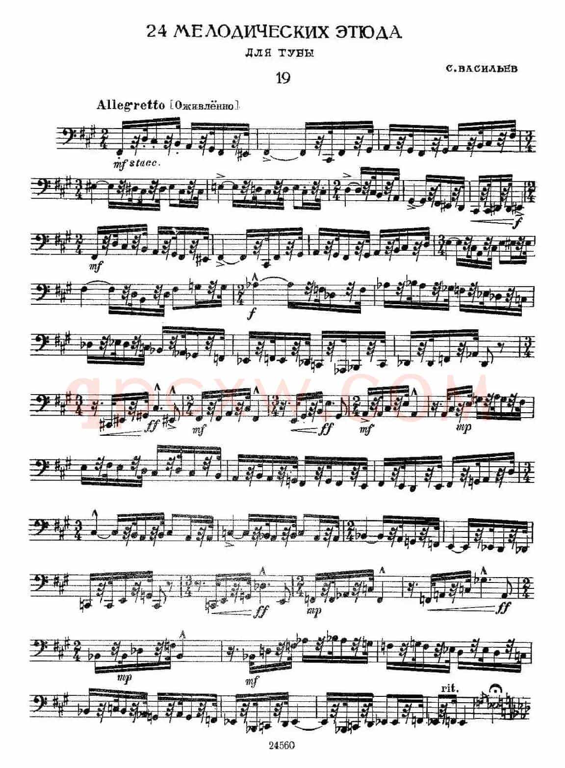 瓦西里耶夫24首大号练习曲集（19—24）