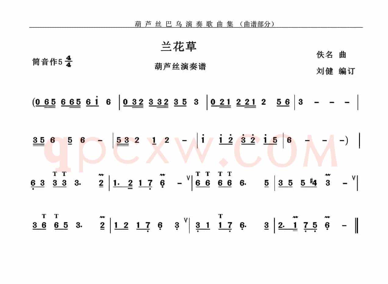 兰花草
