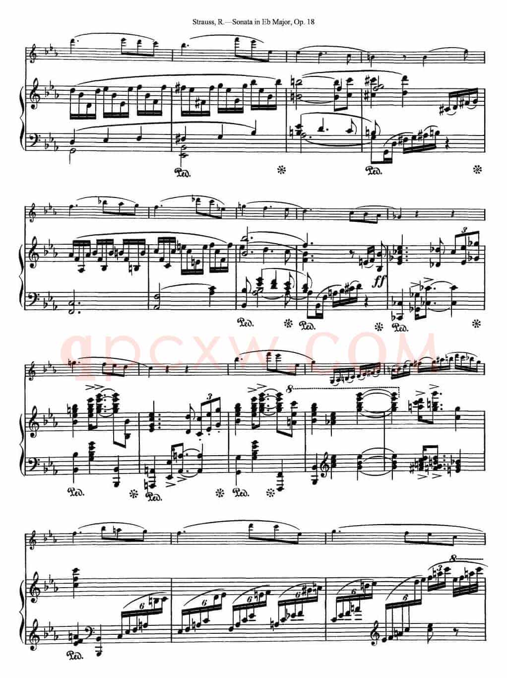 Violin Sonata in Eb Major Op.18（小提琴+钢琴伴奏）