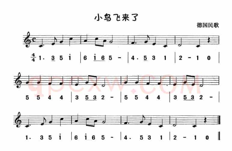 小鸟飞来了（八孔竖笛线简谱对照版）