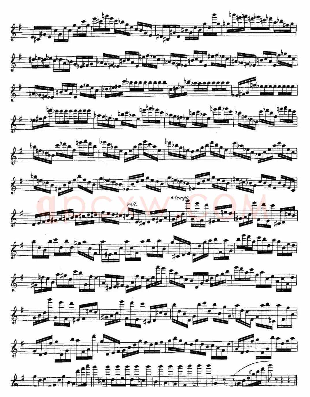 柯勒长笛练习曲作品33号(第三册)(5)