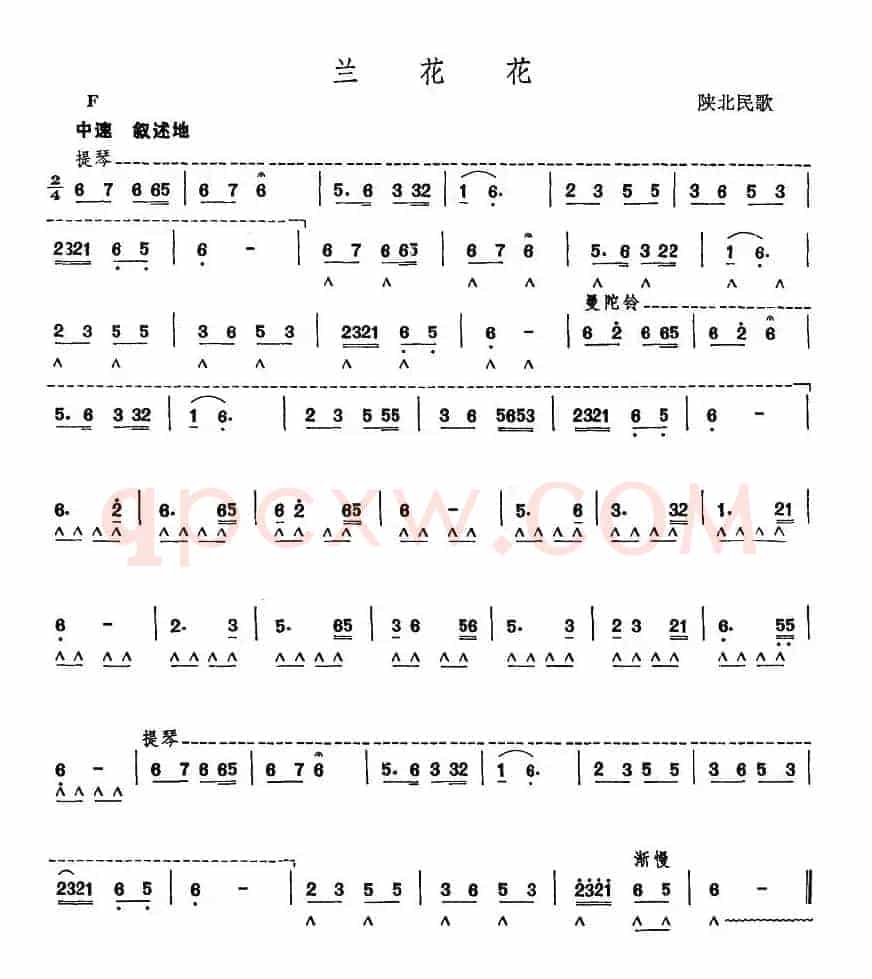 兰花花