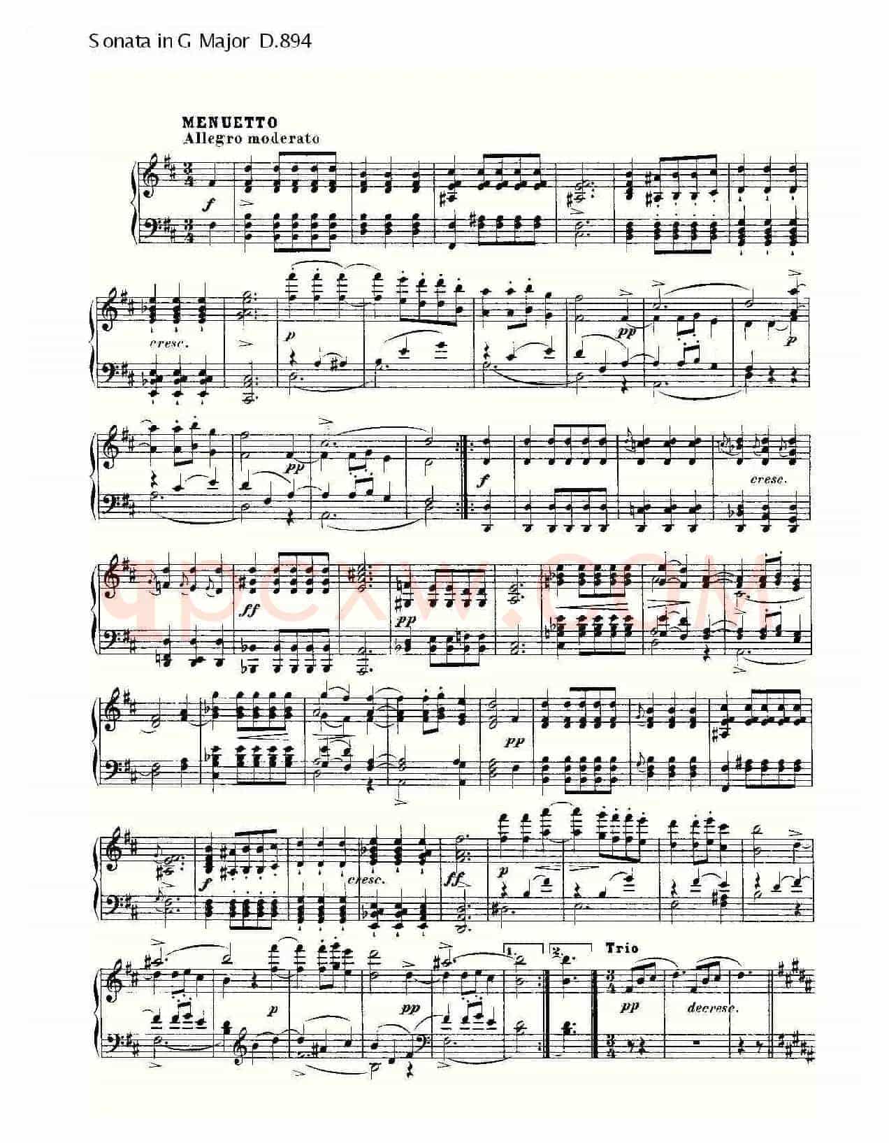 Sonata in G Major D.894(G大调奏鸣曲 D.894)