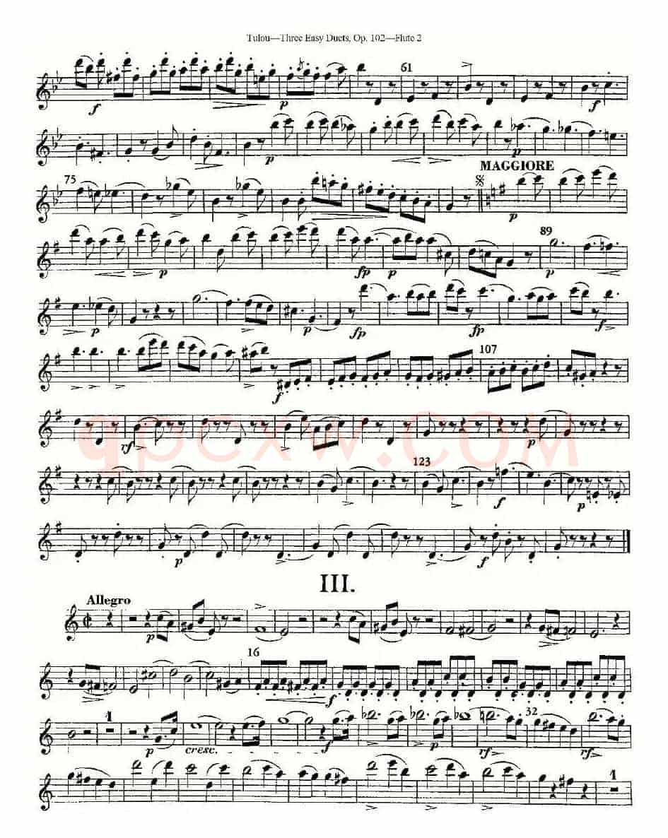 Three Easy Duets,Op.102 之第二长笛（三首简易重奏曲作品102号）